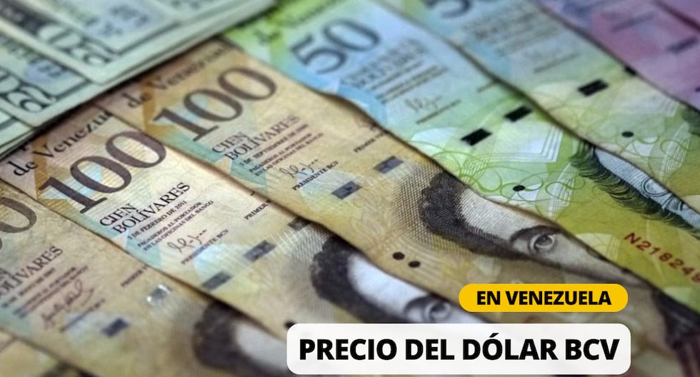 Consultar DÓLAR BCV hoy: Tasa oficial según el Banco Central de Venezuela