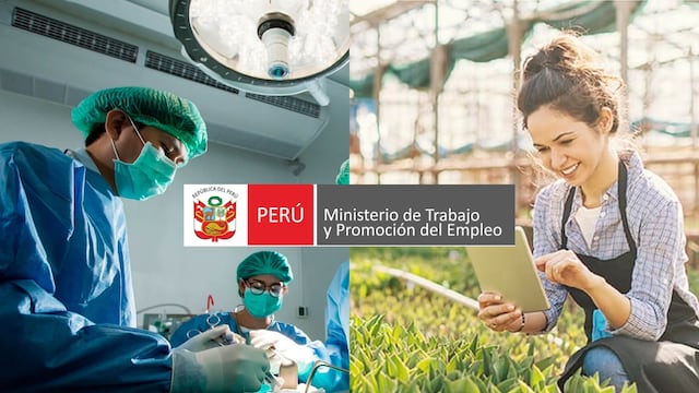 Entérate sobre las 10 carreras con los sueldos más altos en el Perú, según el Ministerio de Trabajo