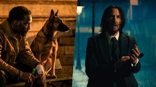 “John Wick 4″: la historia detrás del perro asesino que conmueve en la última entrega