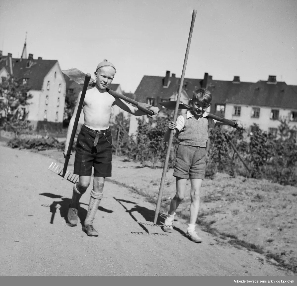 Geitmyra skolehage. Udatert.