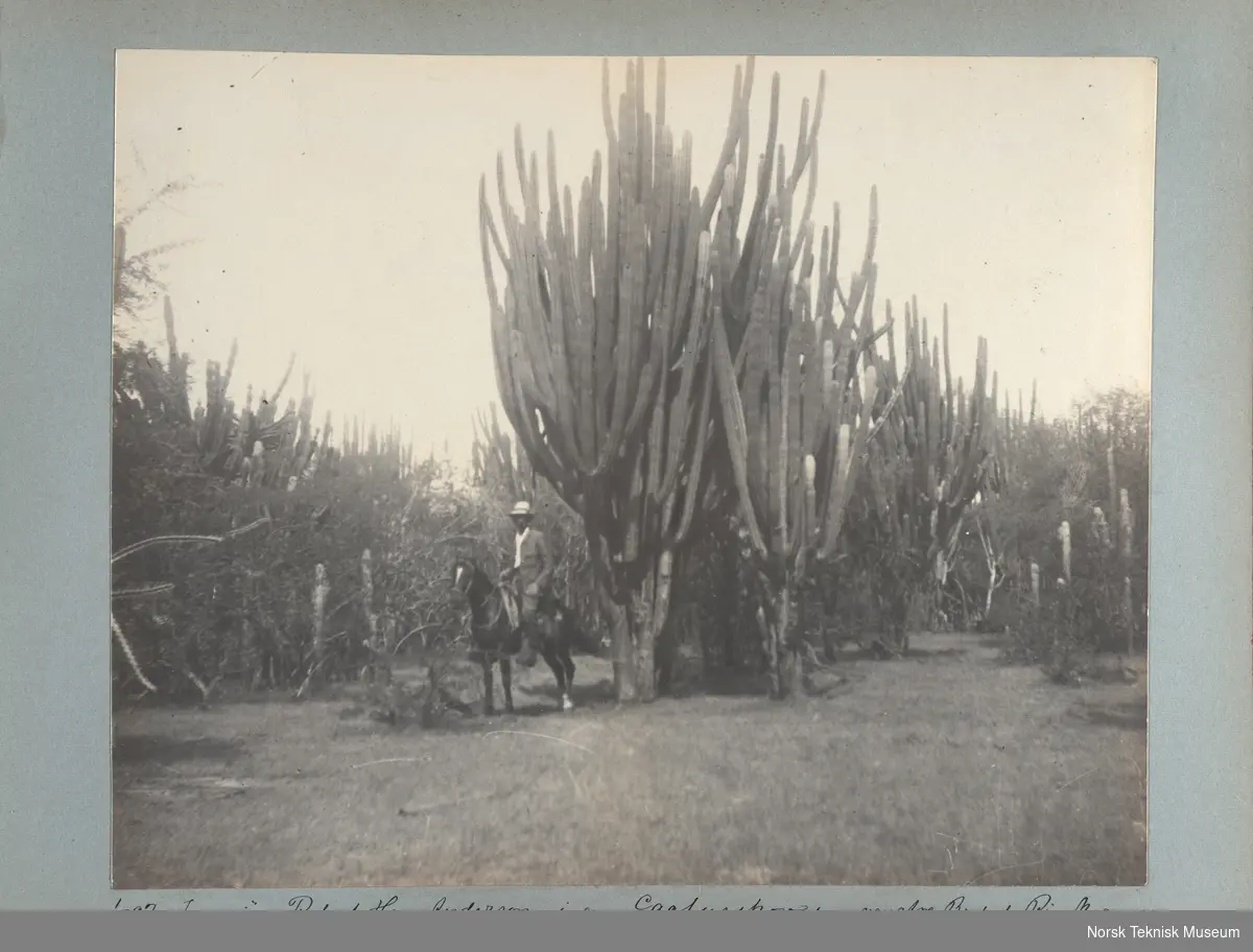 Fotoalbum med fotografier fra studiereise i Mexico. Det er også enkelte bilder fra USA.