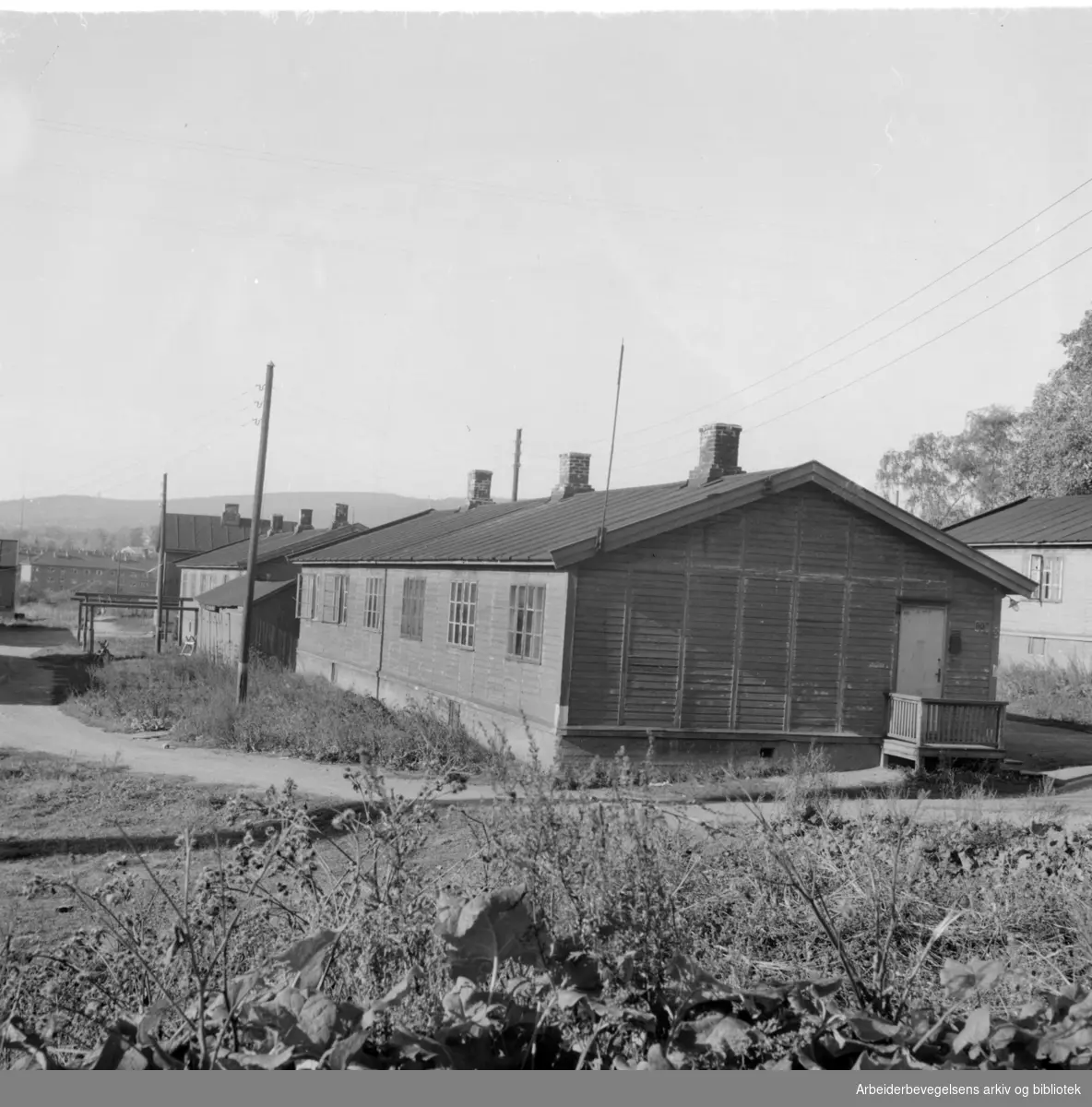 Torshov-åsen, skjemmende steder. Oktober 1948