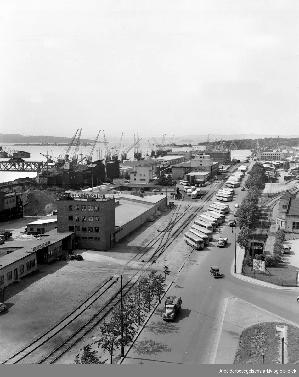 Fra busstreiken i Oslo - parkerte busser ved Oslo Havn,.1956