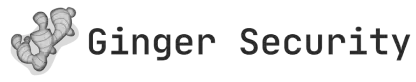 Ginger Security logo