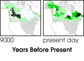 The Migrating Boreal Forest