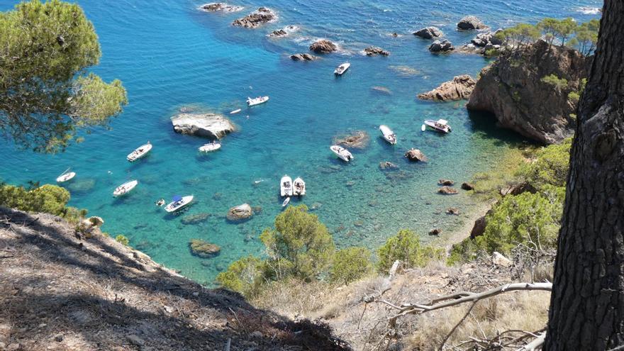 SOS Costa Brava denuncia que han arrencat les balises de la cala Vedell de Mont-ras per segona vegada