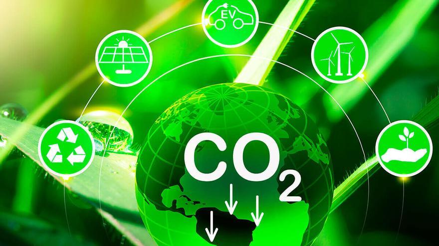 No solo se trata de plantar árboles; existen otras formas de compensar las emisiones de CO2