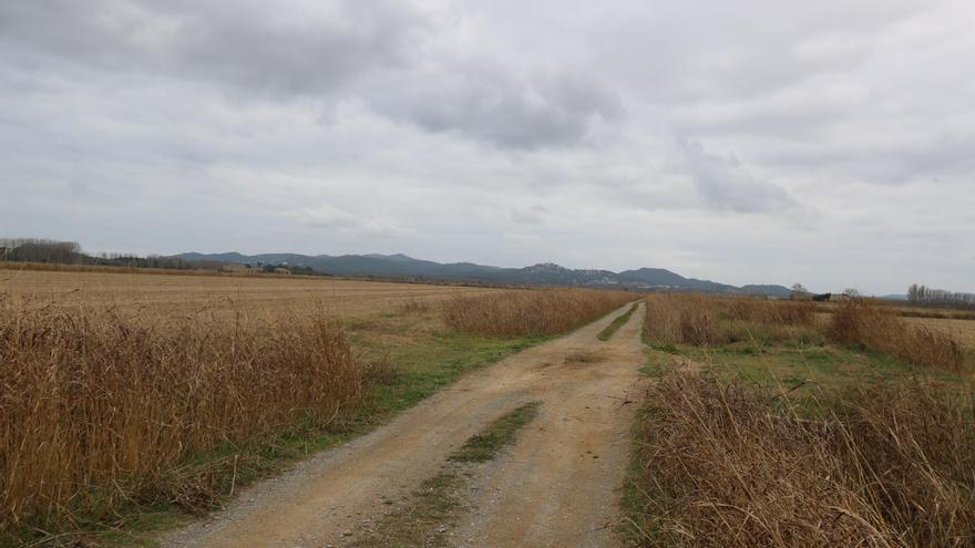 Troben una dona desapareguda assassinada a ganivetades en un vehicle a Torroella de Montgrí