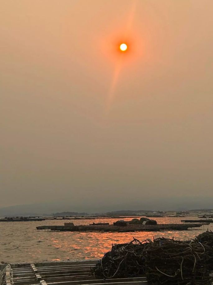 Galicia amanece con la huella de los incendios de Portugal