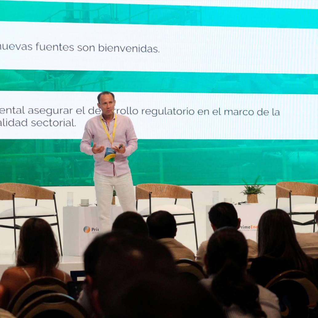 Alejandro Castañeda, presidente de Andeg, habló sobre la compleja situación energética que vive el país. FOTO CORTESÍA