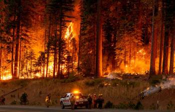 Hace seis días desde que las llamas comenzaron a arder, el incendio lleva 370.000 hectáreas quemadas en California, Estados Unidos. FOTO: GETTY