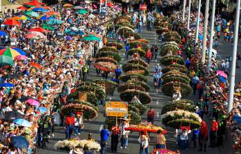 El Desfile de Silleteros de 2024 tendrá la participación de seis silleteros más en las principales categorías, quienes se ganaron su cupo en un sorteo. FOTO: MANUEL SALDARRIAGA