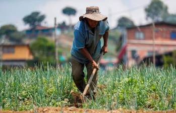 Según Miranda, procedimientos como los de expropiación serán resueltos por la Agencia Nacional de Tierras, “cuando hoy quien se ocupa de ese tipo de procesos es un juez de la República”. FOTO: MANUEL SALDARRIAGA