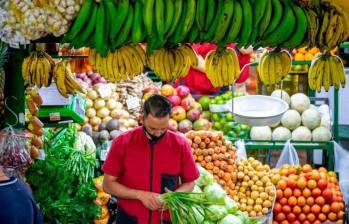 Otros sectores que también subieron bastante en junio fueron bebidas alcohólicas y tabaco (8.15%) y transporte (8.1%), todos por encima del promedio nacional. FOTO: Archivo.