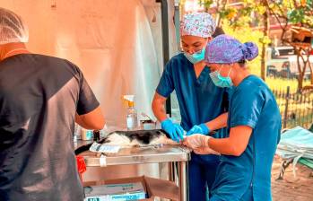 Este jueves la jornada de vacunación se realiza en la cancha René Higuita, de Castilla. FOTO: CORTESÍA