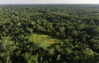 Fotografía aérea del Amazonas colombiano. Foto: Esteban Vanegas Londoño