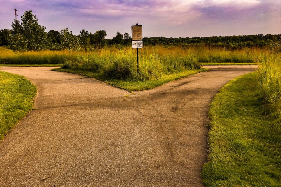 Image of a dirt path dividing into two