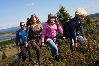 Family hiking in summer at Sjusjøen