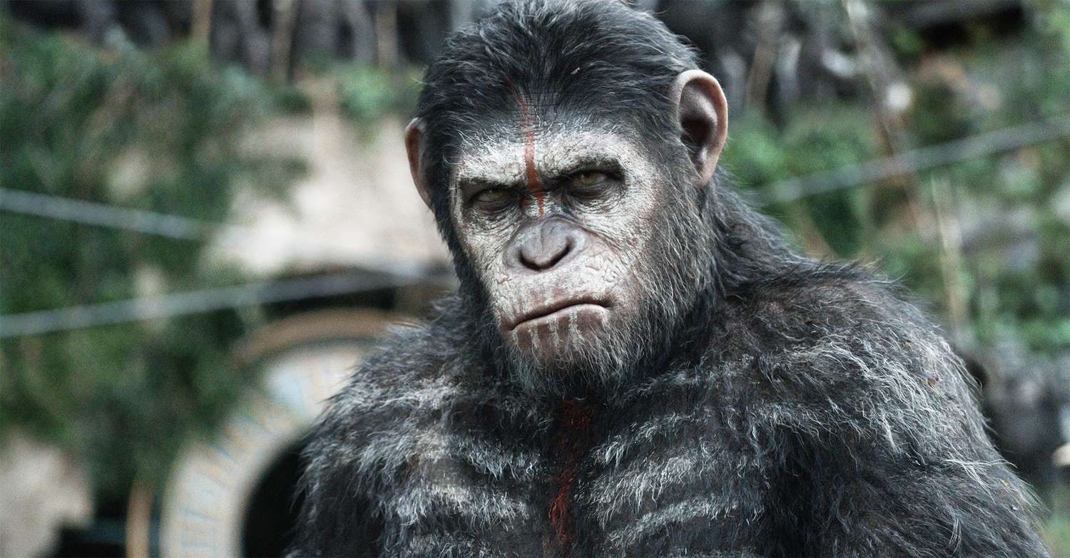 DAWN OF THE PLANET OF THE APES