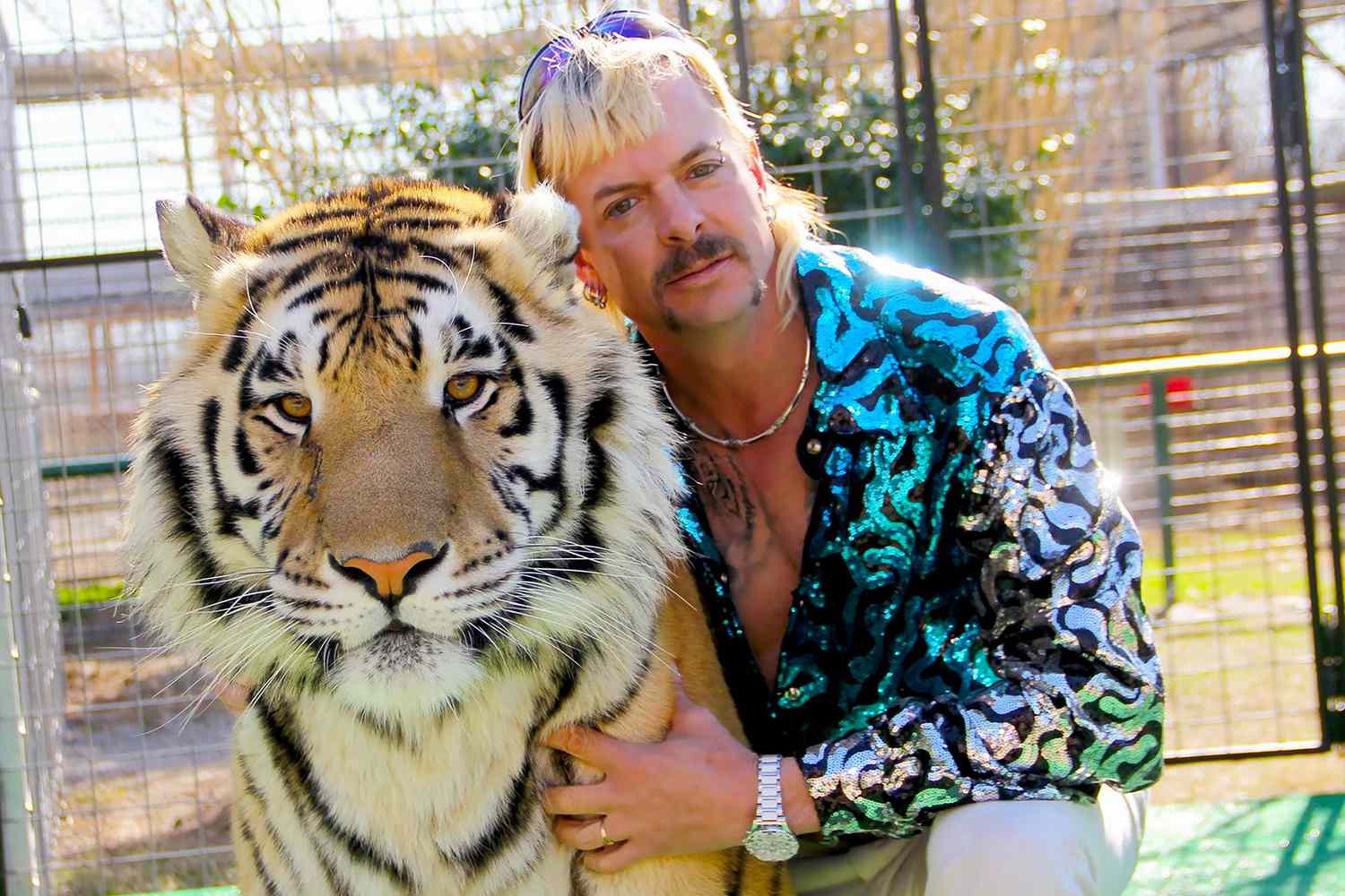 A tiger and Joe Exotic in 'Tiger King'