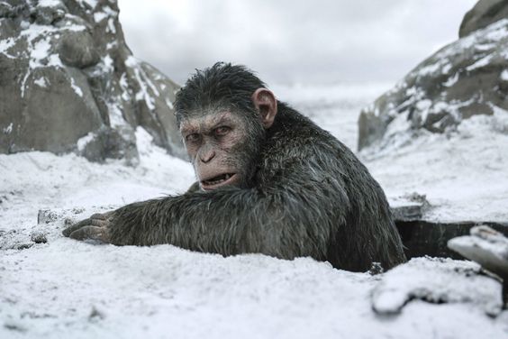 WAR FOR THE PLANET OF THE APES