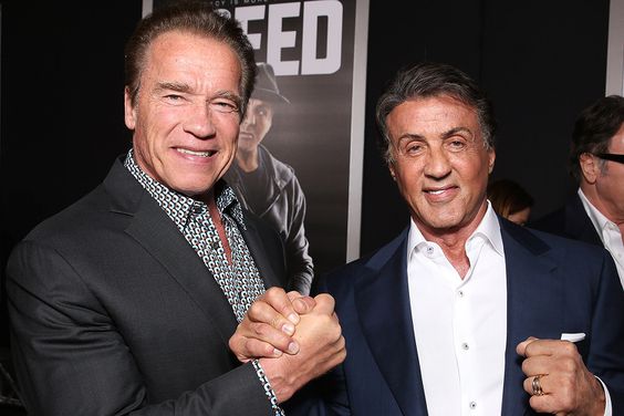 Arnold Schwarzenegger (L) and Producer Sylvester Stallone attend the premiere of Warner Bros. Pictures' "Creed" at Regency Village Theatre on November 19, 2015 in Westwood, California.