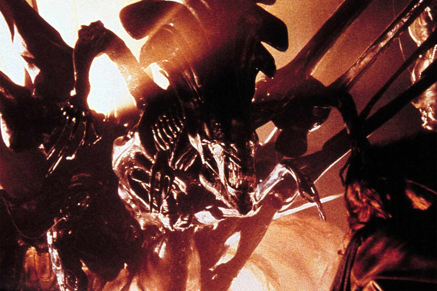 ALIENS, alien queen/mother, Sigourney Weaver, Carrie Henn, 1986, TM & Copyright (c) 20th Century Fox Film Corp. All rights reserved. cREDIT: 20th Century Fox/Everett Collection