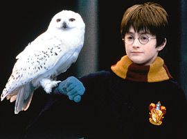 Daniel Radcliffe, Harry Potter and the Sorcerer's Stone