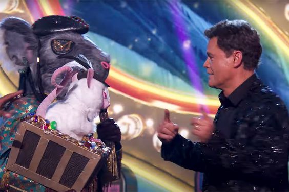 Pi-Rat Fights Donny Osmond