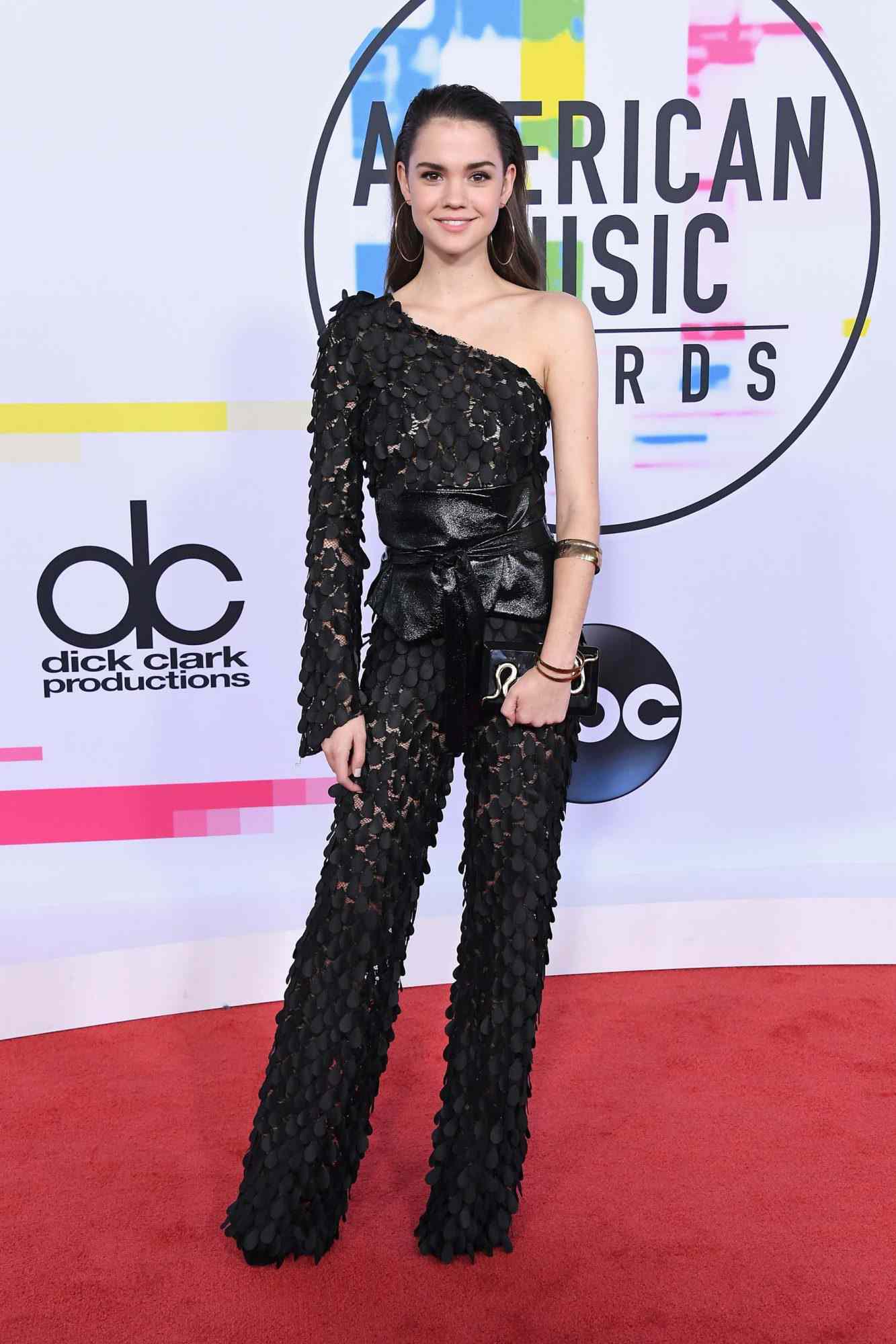 2017 American Music Awards - Arrivals