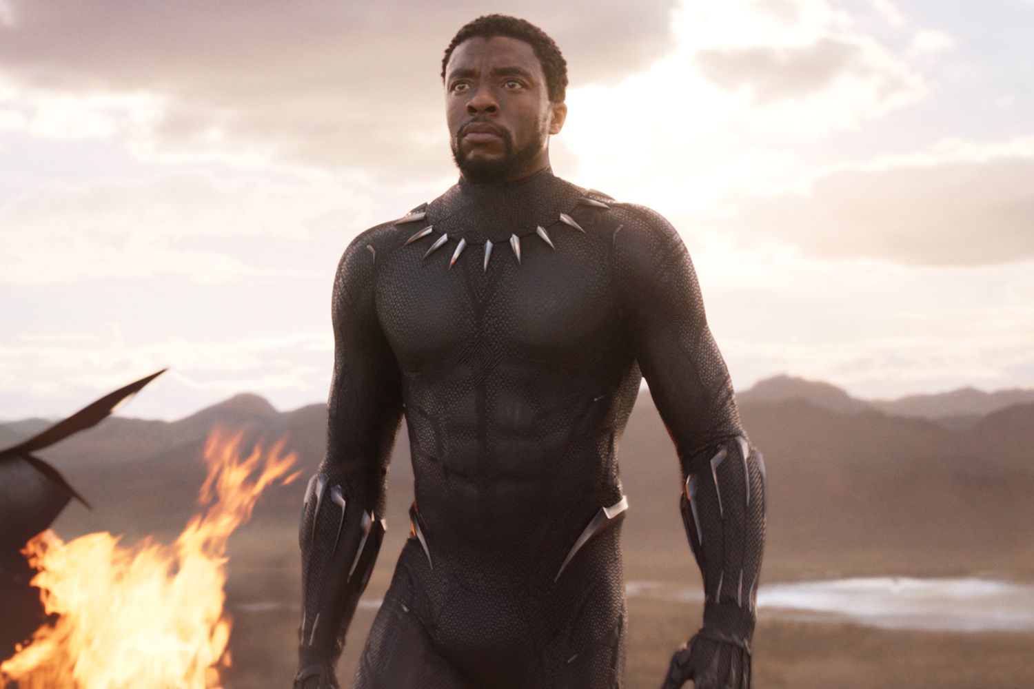 Chadwick Boseman in 'Black Panther'