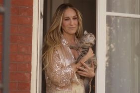 sarah jessica parker adopted carrie's 'and just like that' cat. Credit - Max