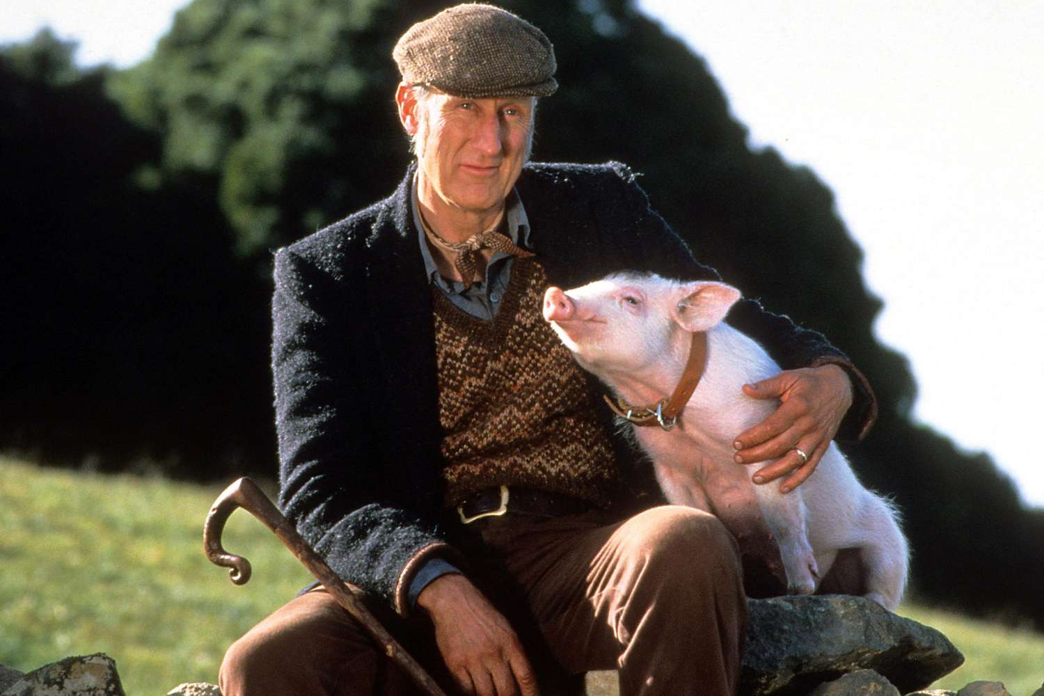 James Cromwell in 'Babe'