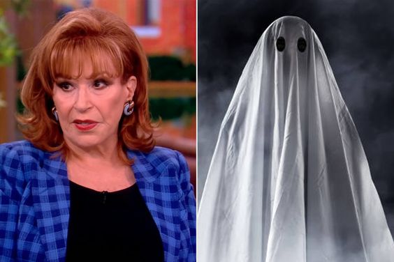 Split if Joy Behar from The View and a ghost 