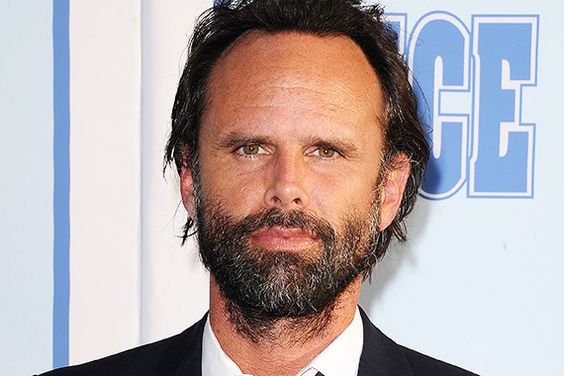 All Crops: 545476402 Collection: FilmMagic LOS ANGELES, CA - JULY 07: Actor Walton Goggins attends the premiere of 'Vice Principals' at Avalon Hollywood on July 7, 2016 in Los Angeles, California. (Photo by Jason LaVeris/FilmMagic)