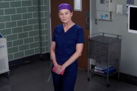 Grey's Anatomy/Station 19 crossover