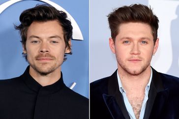 Harry Styles and Niall Horan came to fame as part of One Direction