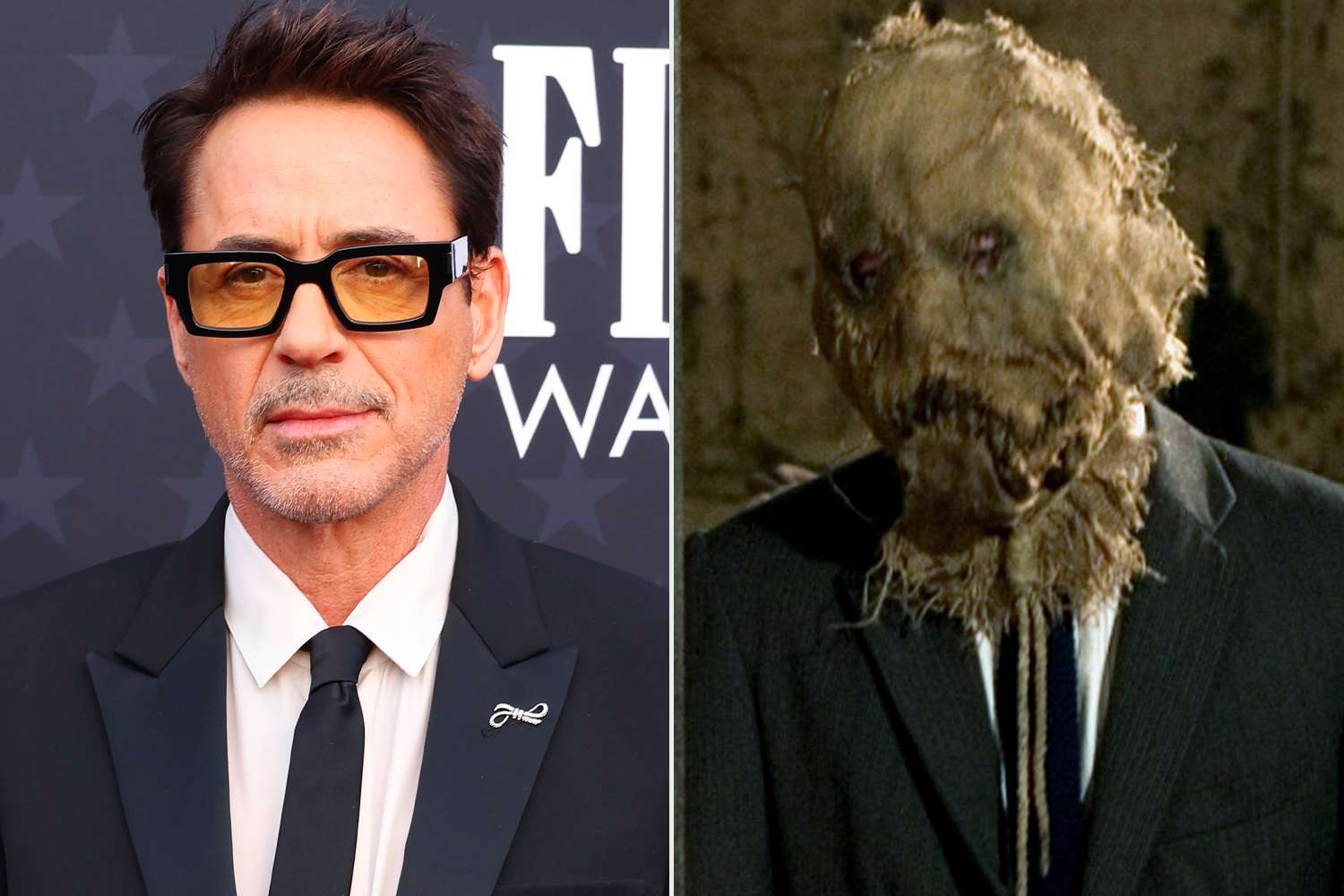 Robert Downey JR and Scarecrow