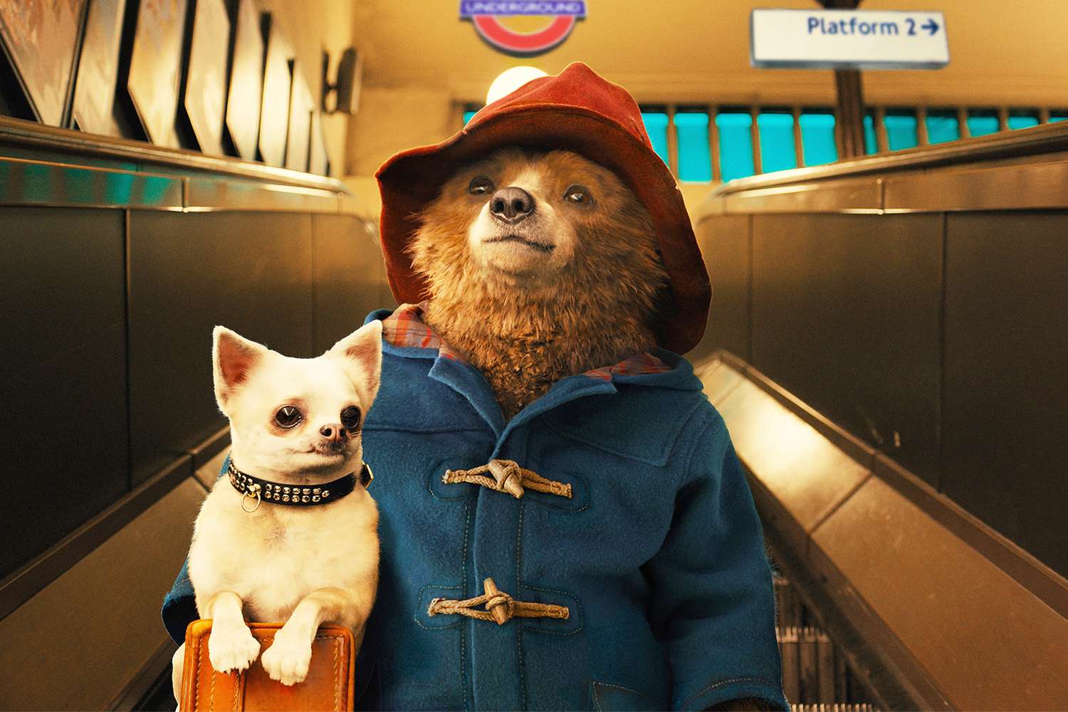 PADDINGTON