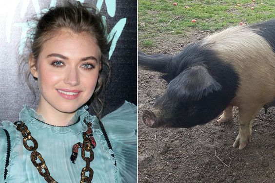 Imogen Poots and Pig Imogen Poots