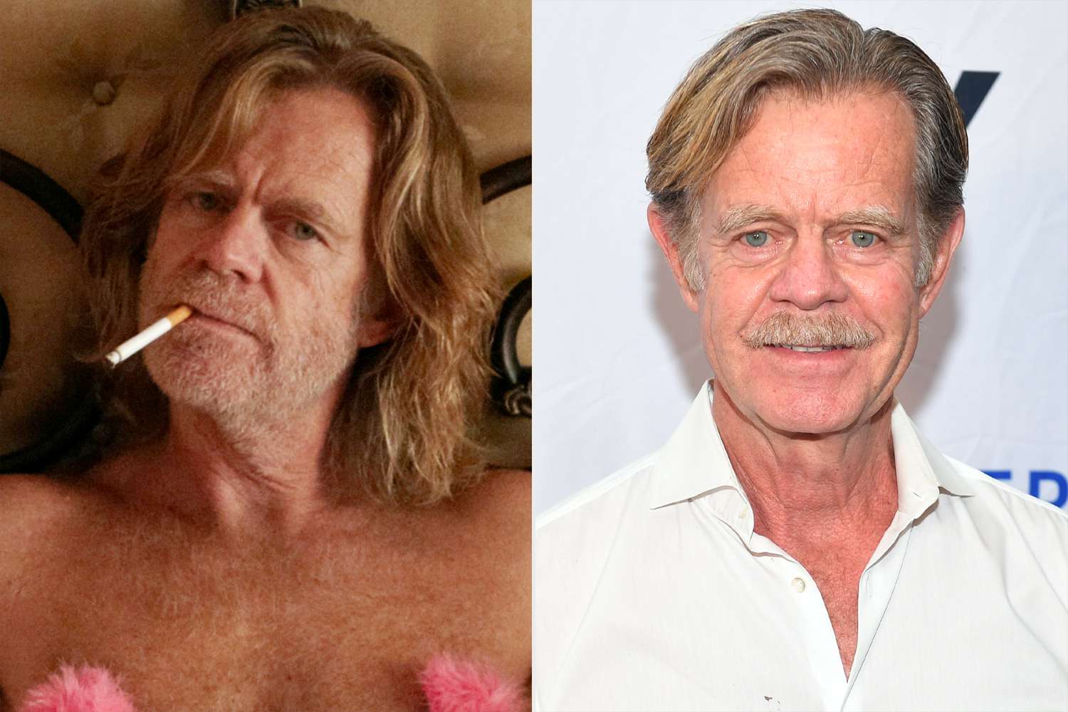 William H. Macy in 'Shameless' and William H. Macy at a screening of 'The Dropout'