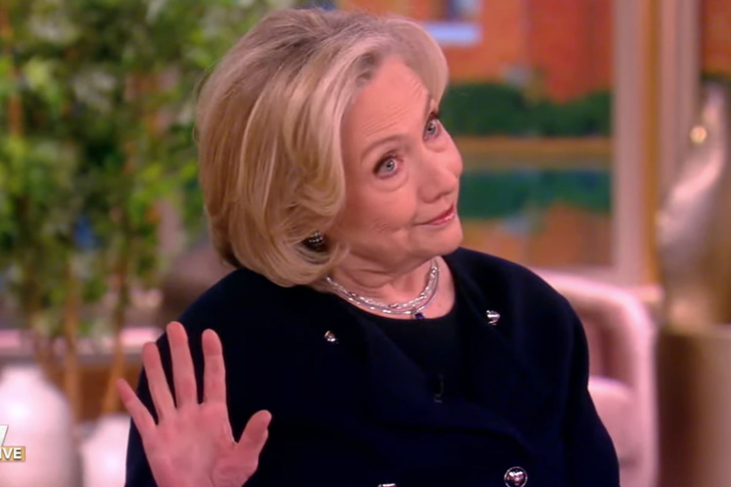 Hillary Clinton on 'The View'