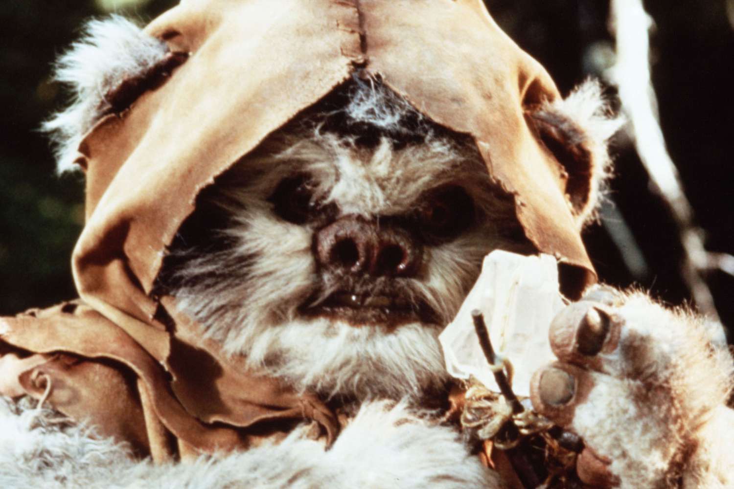 The Ewok Adventure / Caravan Of Courage