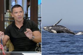 Mark Consuelos co-host 'Live with Kelly and Mark'; A humpback whale 