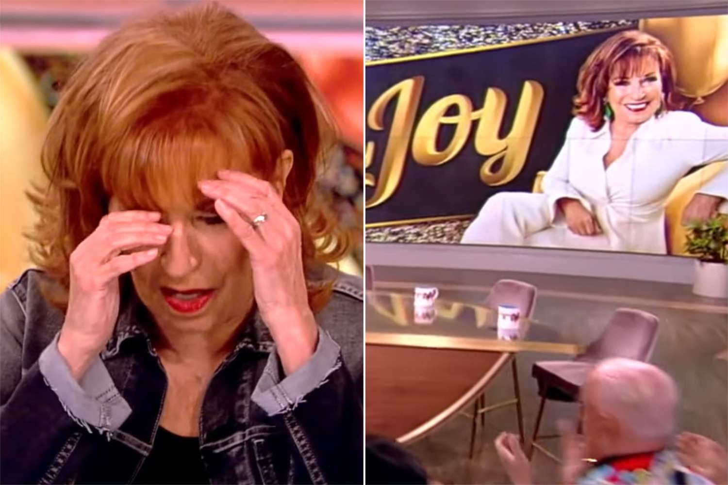 Joy Behar on The View