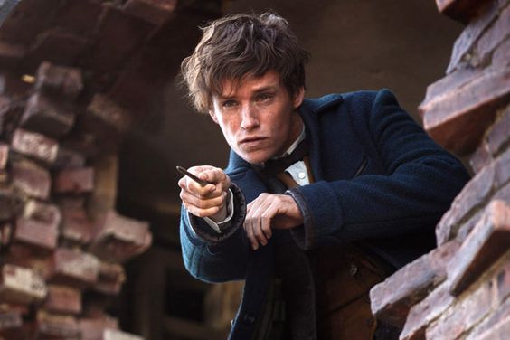 FANTASTIC BEASTS AND WHERE TO FIND THEM