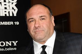 Actor James Gandolfini attends the premiere of "Zero Dark Thirty" at the Dolby Theatre on December 10, 2012 in Hollywood, California.