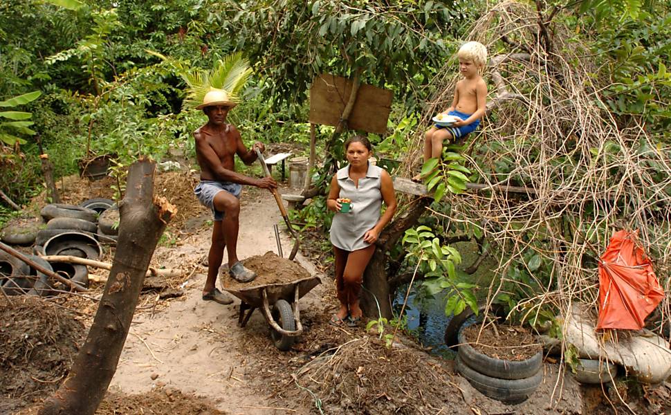 Efeitos do Bolsa Família são desiguais