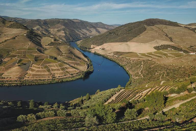 Estamos fadados a beber vinhos portugueses, e isso é uma boa notícia