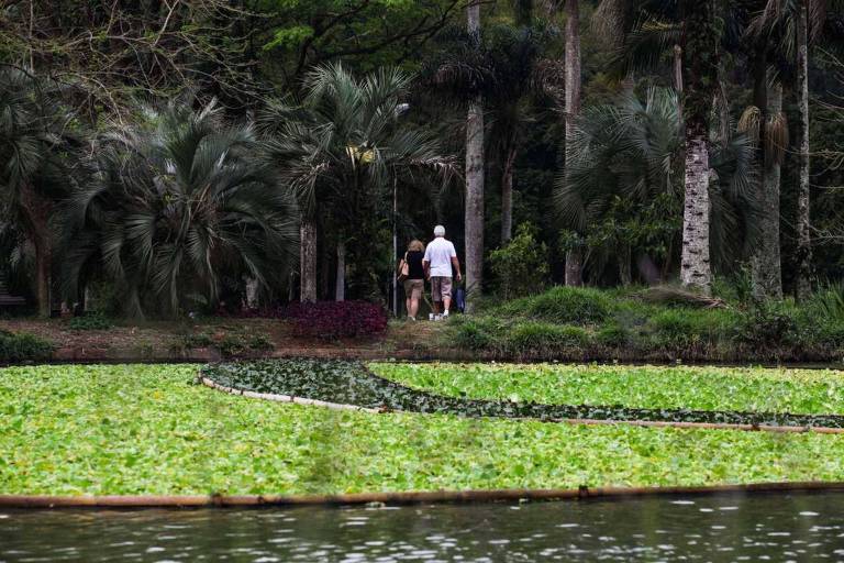 Zoo e Jardim Botânico de SP são reabertos após morte de macaco por febre amarela